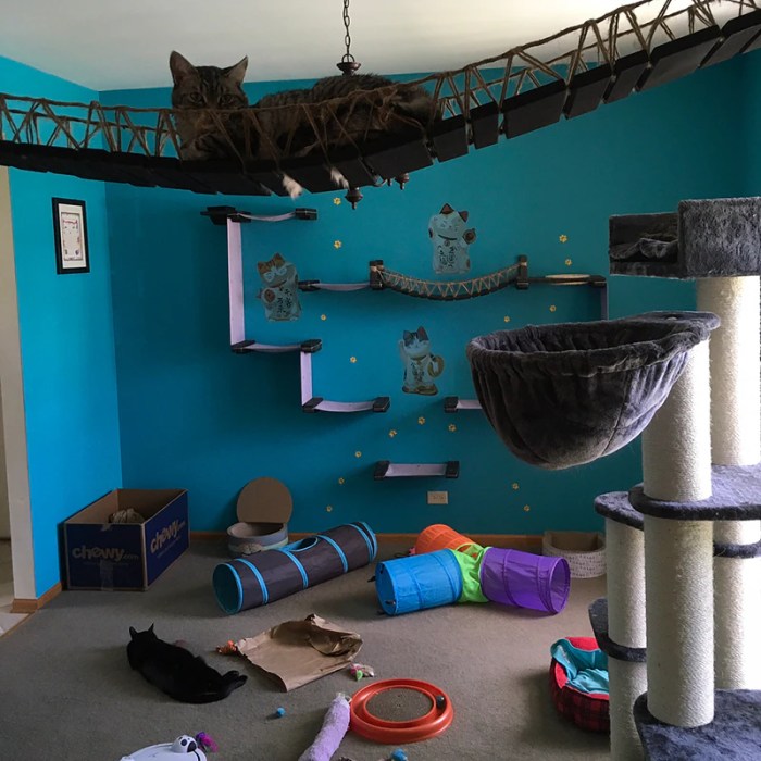 Cat house interior design