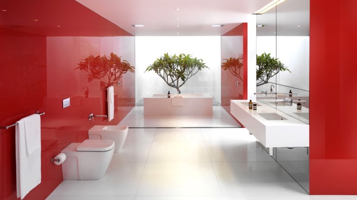 Bathroom wall decor red